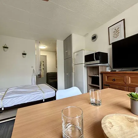 아파트 3 Personnes - Cap D'agde Avec Parking Privatif - Fr-1-249-440 *